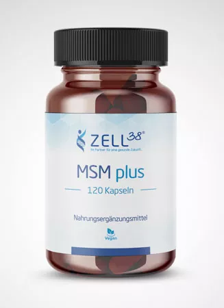 MSM-Plus-Zell38-front MSM-Plus-Zell38-front