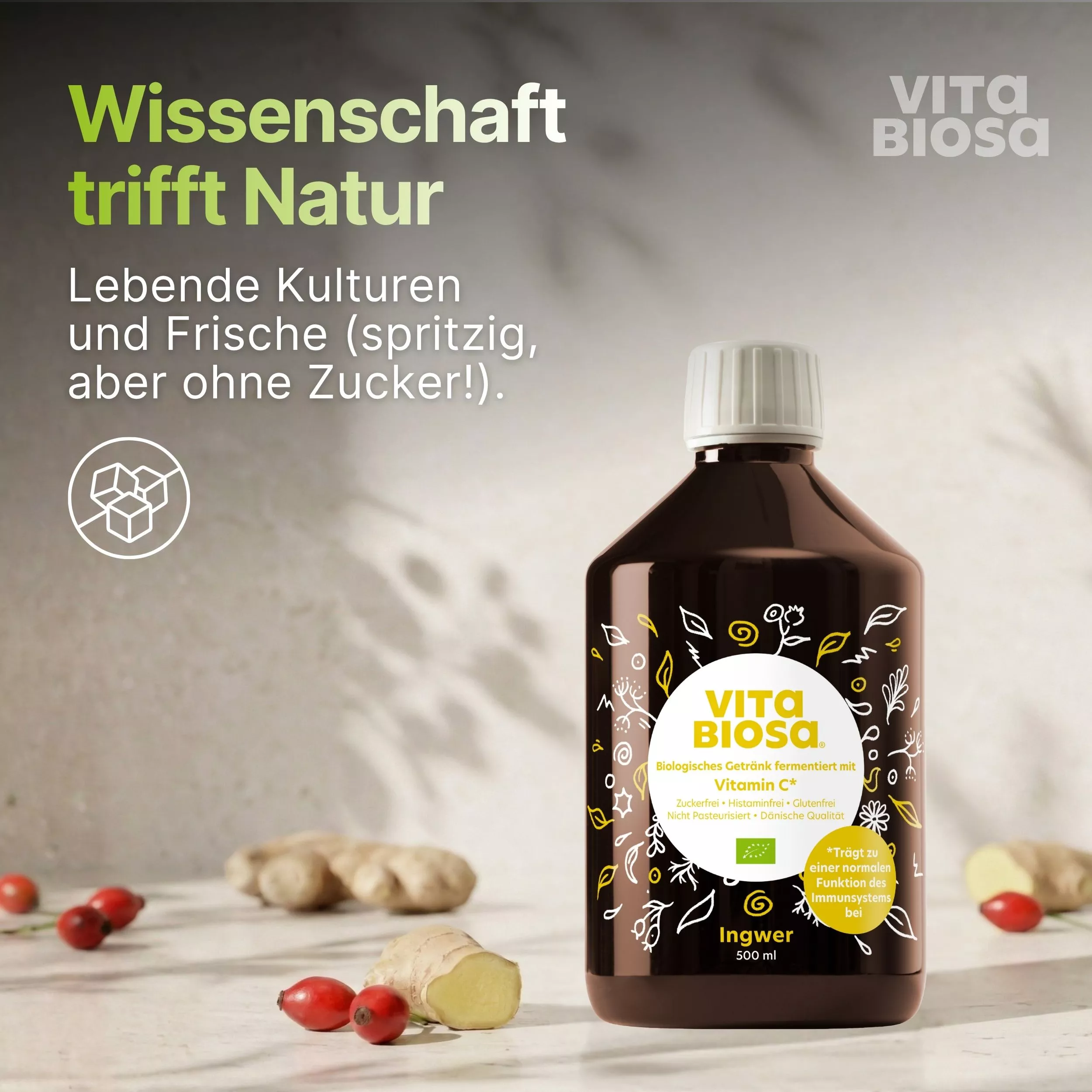 Vita-Biosa-Ingwer-500ml-Milchsaeurebakterien-kaufen-wissenschaft Vita-Biosa-Ingwer-500ml-Milchsaeurebakterien-kaufen-wissenschaft