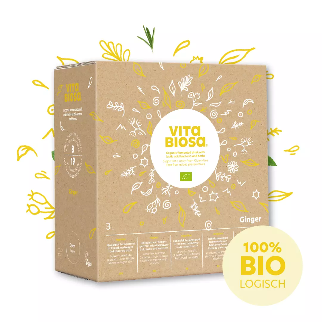 Vita Biosa Ingwer 3L Bag-in-Box, bio