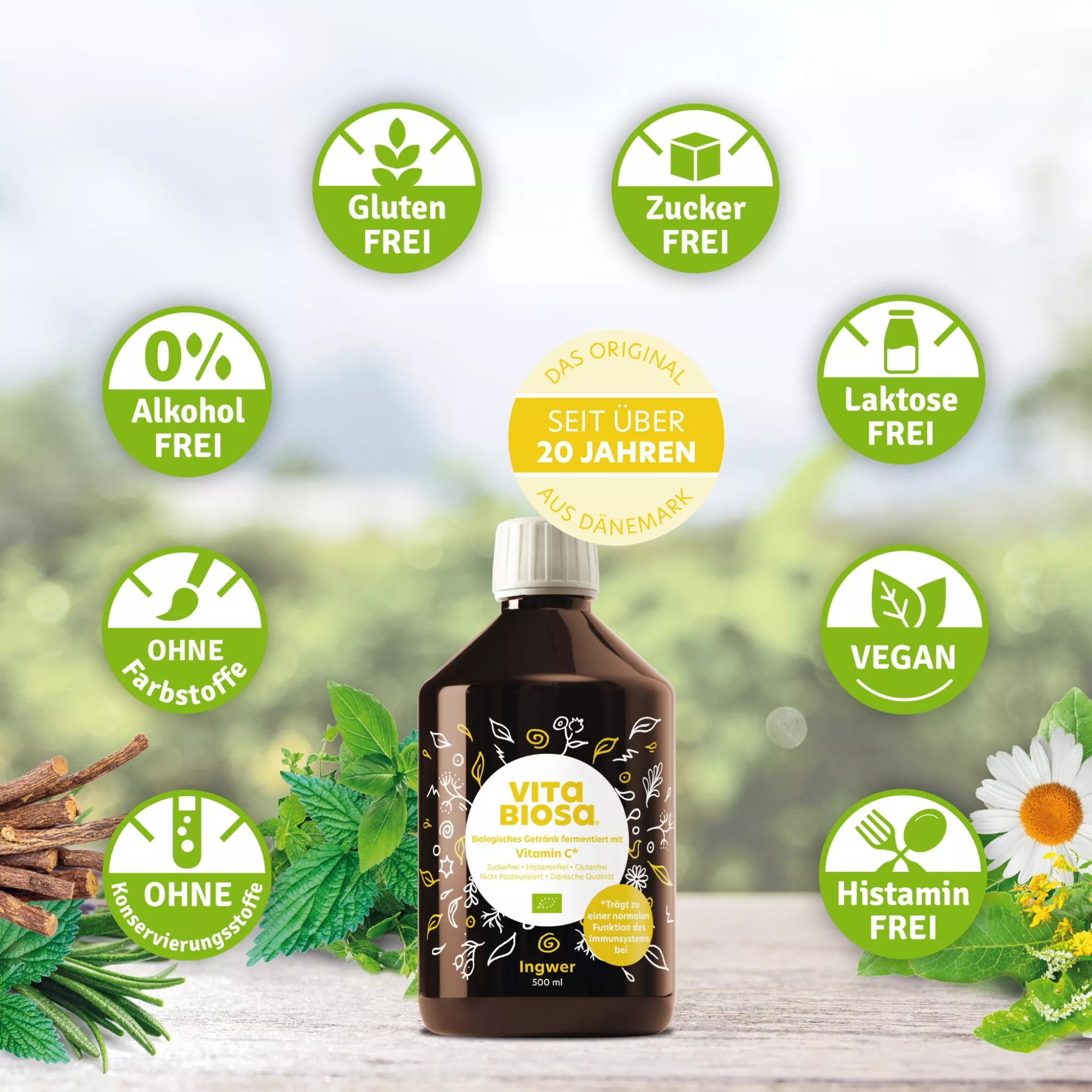 Darmvital Basis Paket Glutenfrei, Zuckerfrei, Laktosefrei, Vegan, Histaminfrei