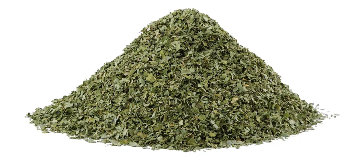 Moringa_Tee_Blaetter_kaufen_Teepulver