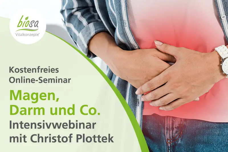 Teaserbild zum Online-Seminar zum Thema "Magen, Darm und Co."