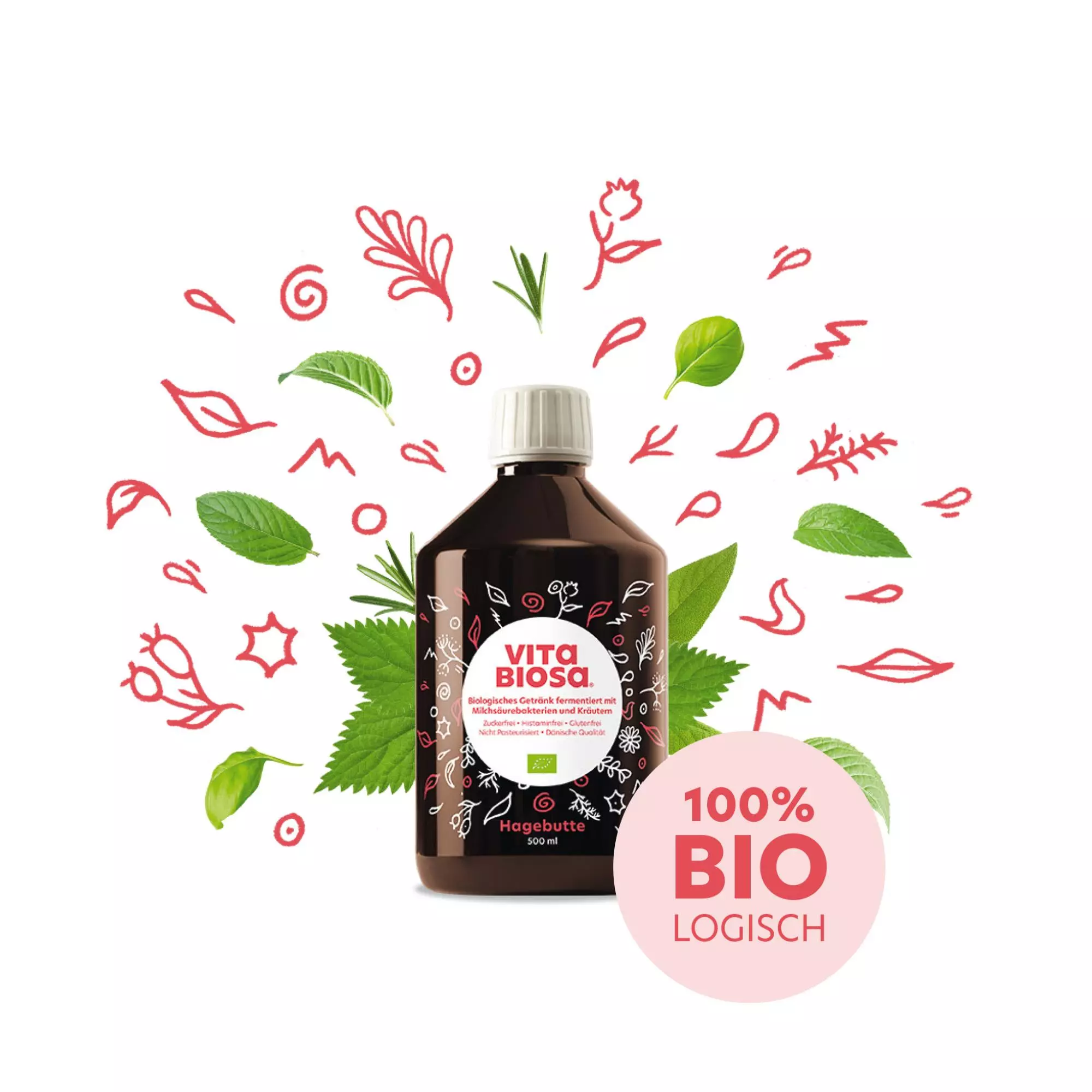 Vita Biosa Hagebutte 500ml Milchsaeurebakterien kaufen front