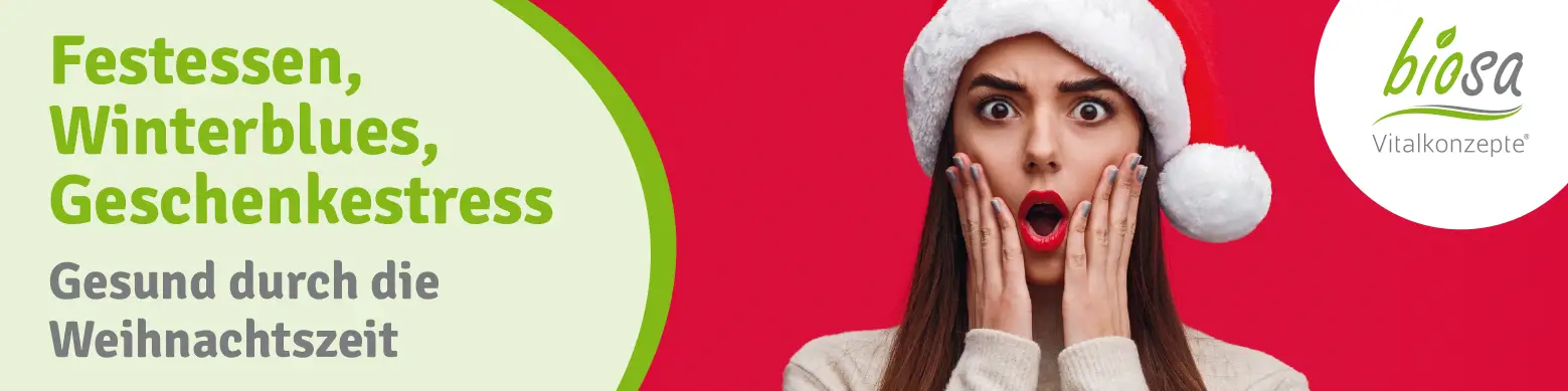 Teaserbild zum Online-Seminar zum Thema "Stress zur Weihnachtszeit"