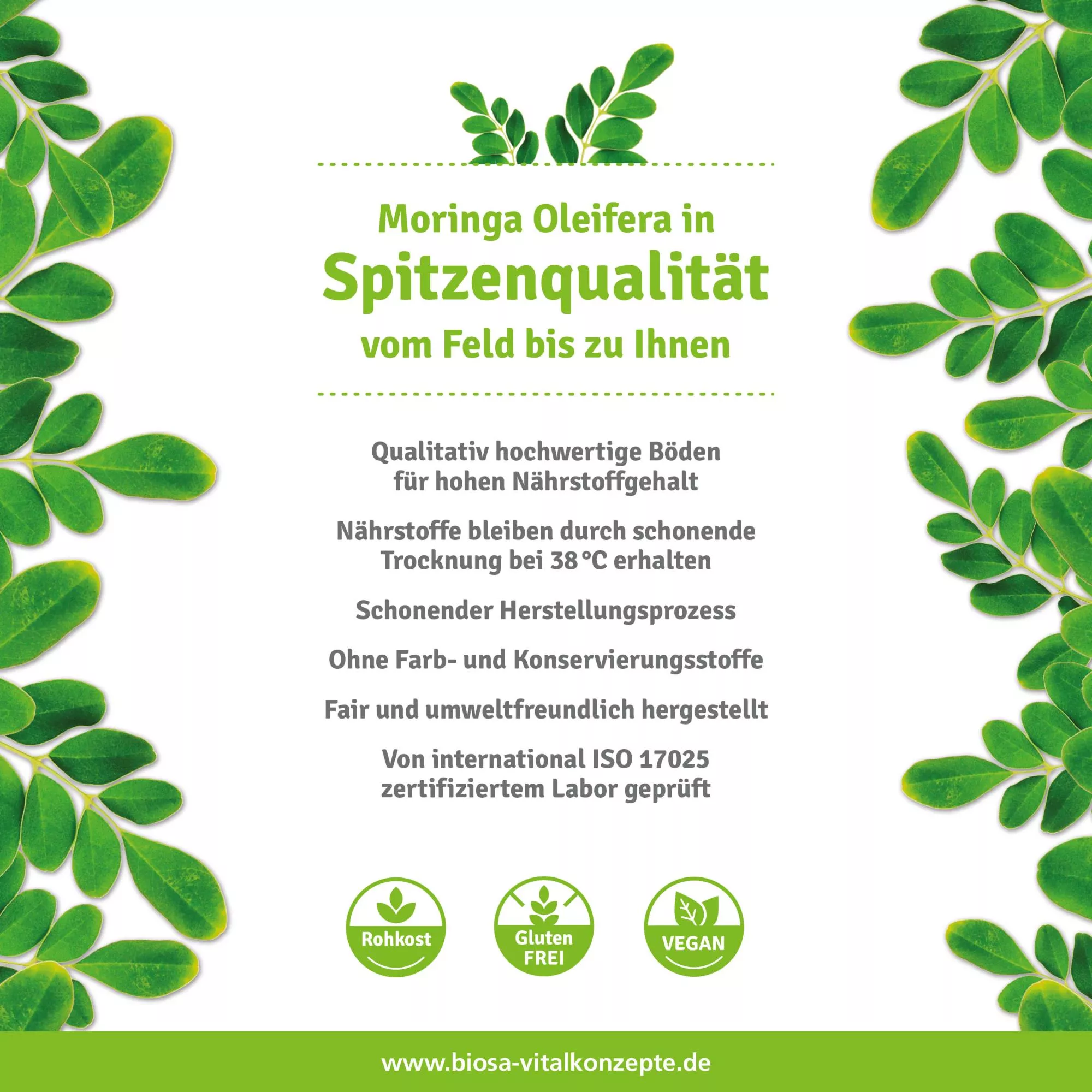 Moringa Behenöl kaltgepresst, 100ml Moringa Behenöl kaltgepresst, 100ml