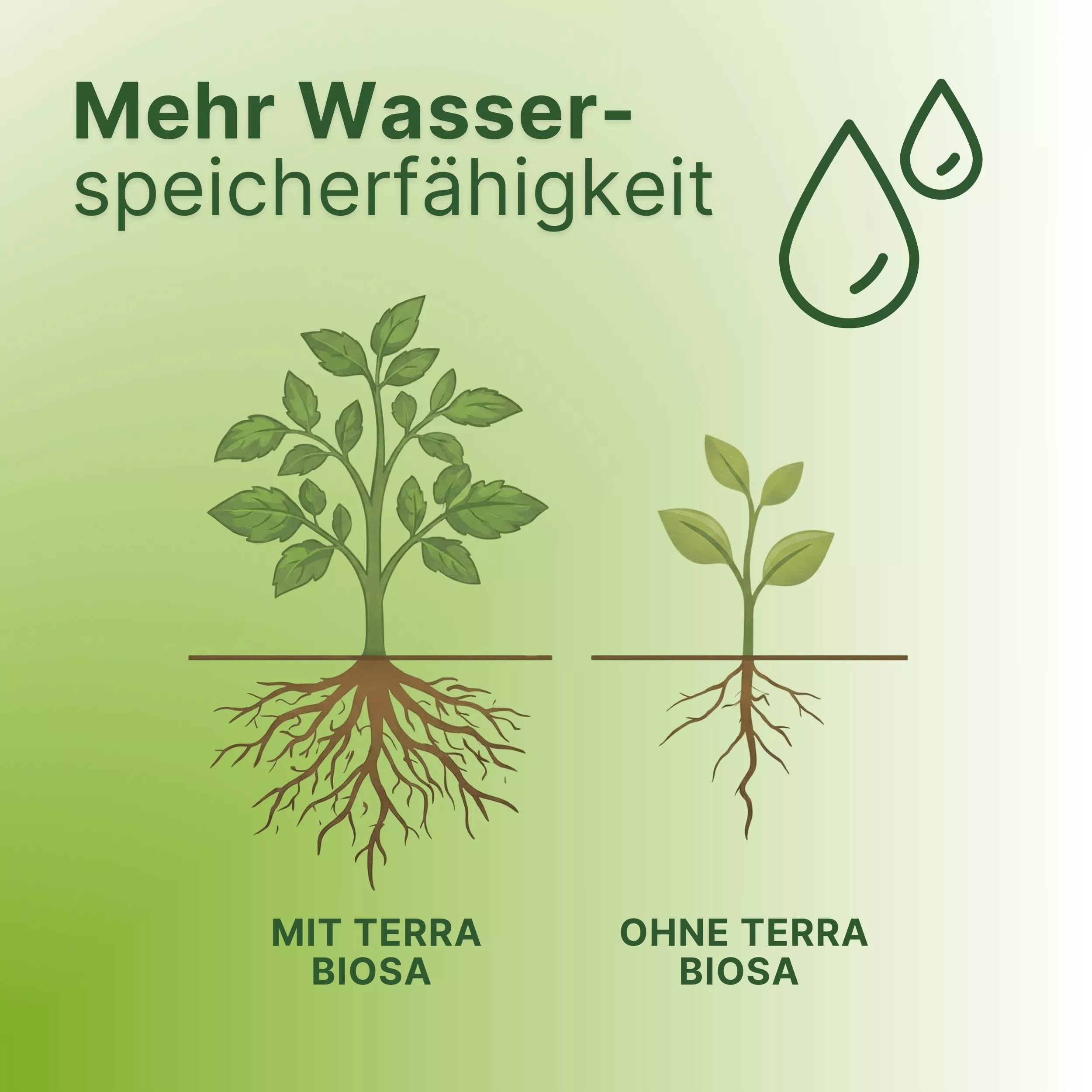 Terra_Biosa_Bodenaktivator_Milchsaeurebakterien_kaufen_10L_Fertigmischung_wasserspeicher, pflanze, baum, wurzel, blätter, biosa?