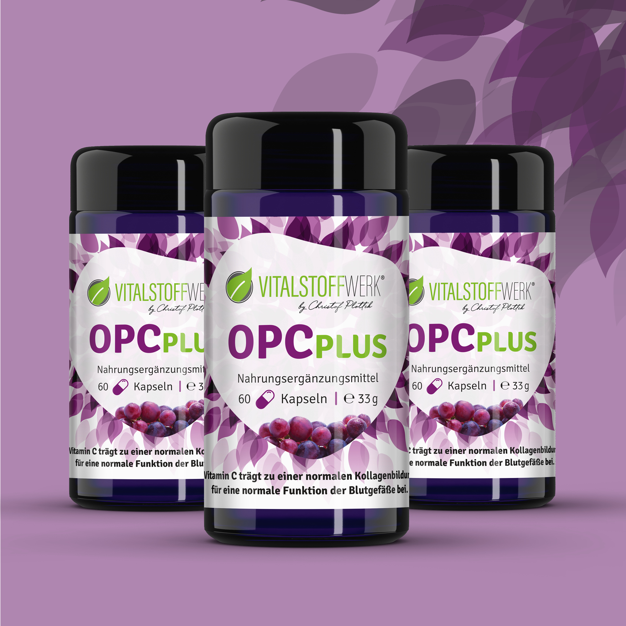 OPC Kapseln 3 mal kaufen Vitalstoffwerk Front OPC Kapseln 3 mal kaufen Vitalstoffwerk Front, Kräuter, Pflanze