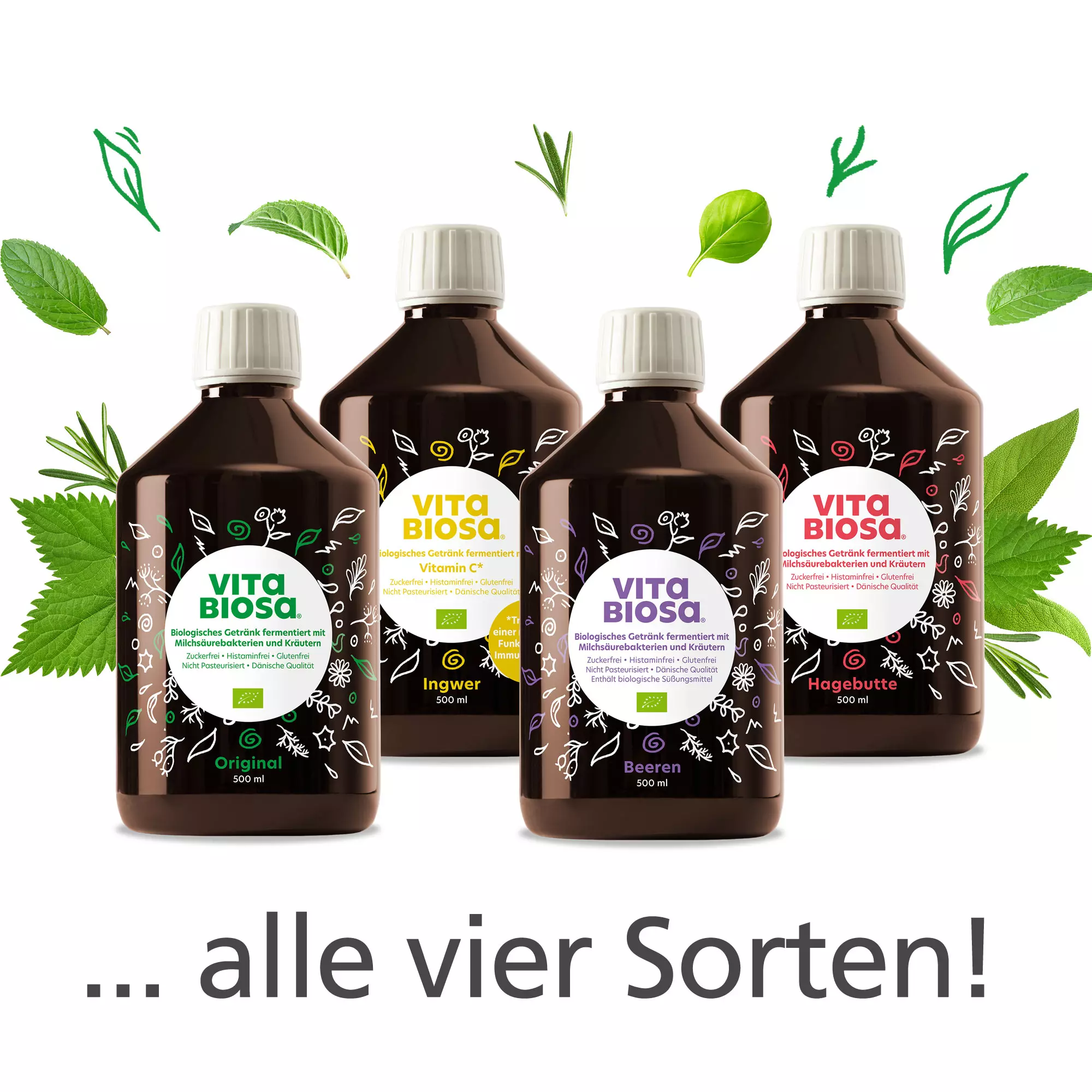Produkt-Bundle-Vita-Biosa-kaufen-alle-Sorten-500ml