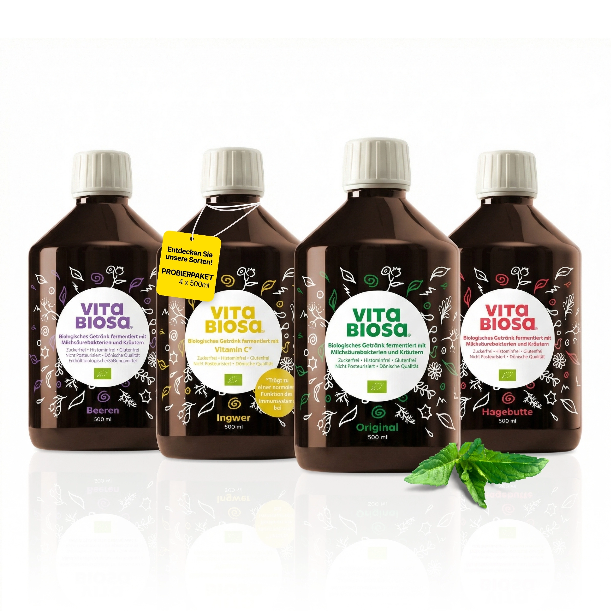 Produkt-Bundle-Vita-Biosa-kennenlern-paket-Milchsaeurebakterien-kaufen-alle-4-Sorten-500ml-front, Flüssigersatz, Beeren, Ingwer, Original, Hagebutte