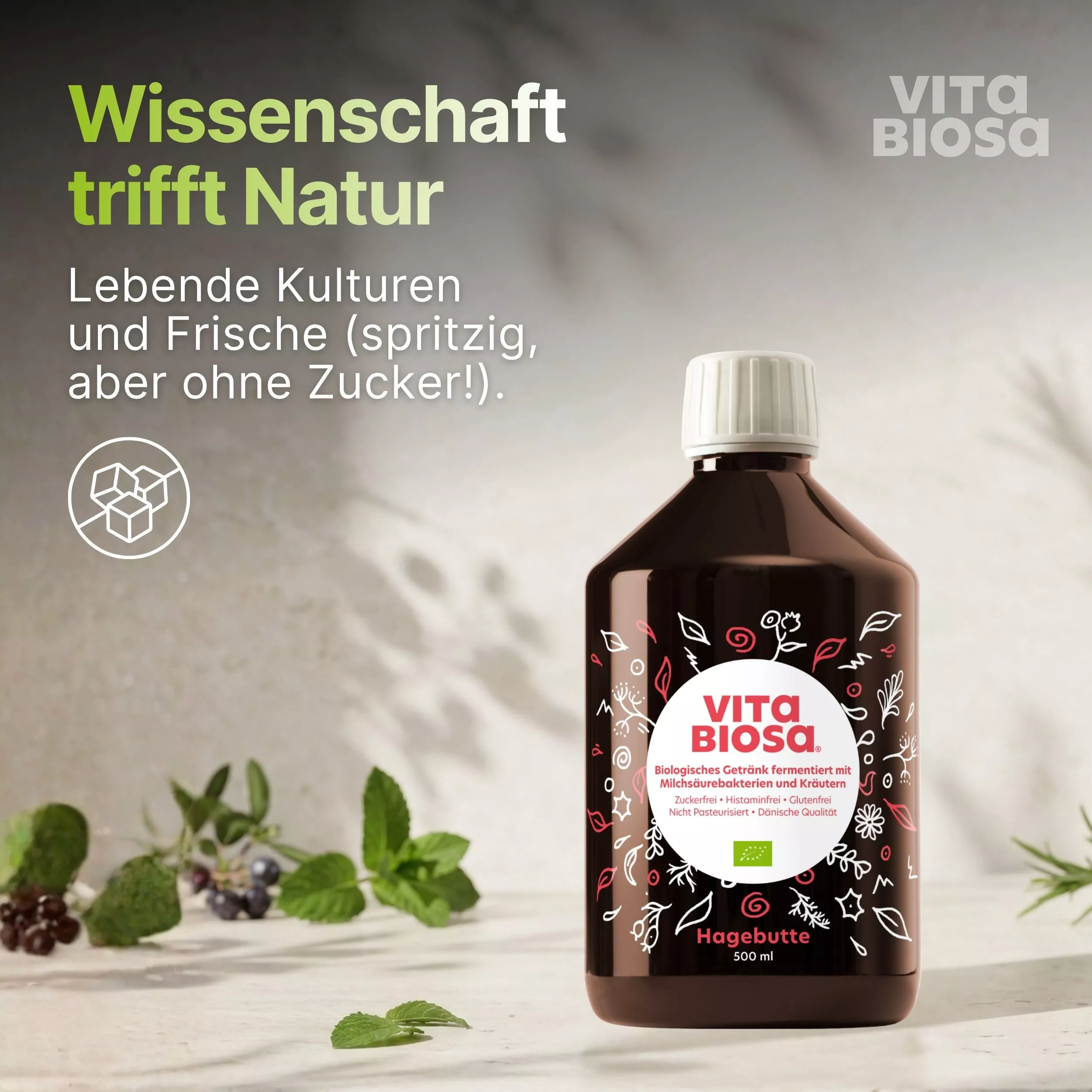 Vita-Biosa-Hagebutte_500ml_ Milchsaeurebakterien_kaufen_wissenschaft, Kombucha, Bio-Getränk, Hagebutte, Flasche, Kräuter/Beeren