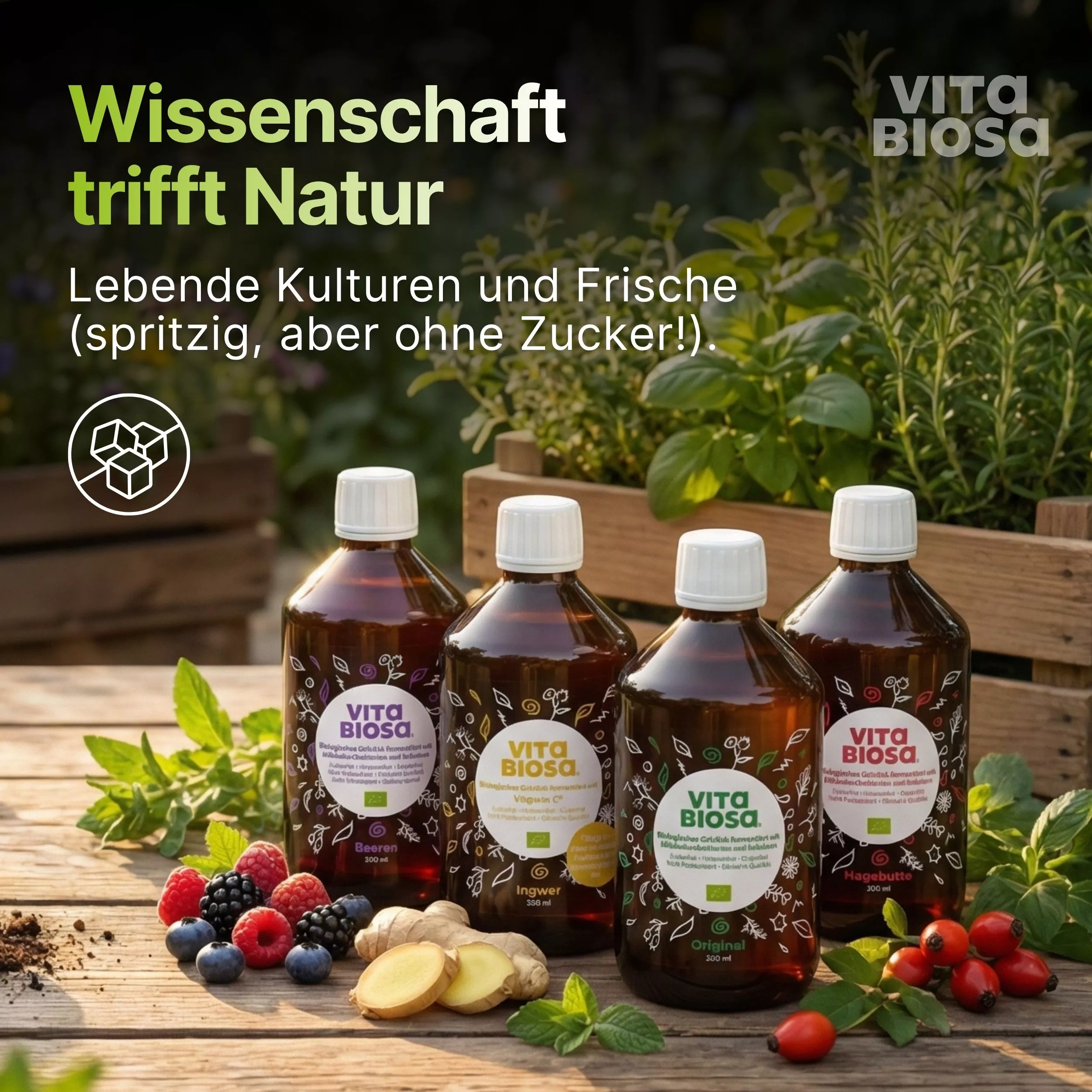 Vita-Biosa-kennenlern-paket-Milchsaeurebakterien-kaufen-alle-4-Sorten-500ml-wissenschaft Vita-Biosa-kennenlern-paket-Milchsaeurebakterien-kaufen-alle-4-Sorten-500ml-wissenschaft