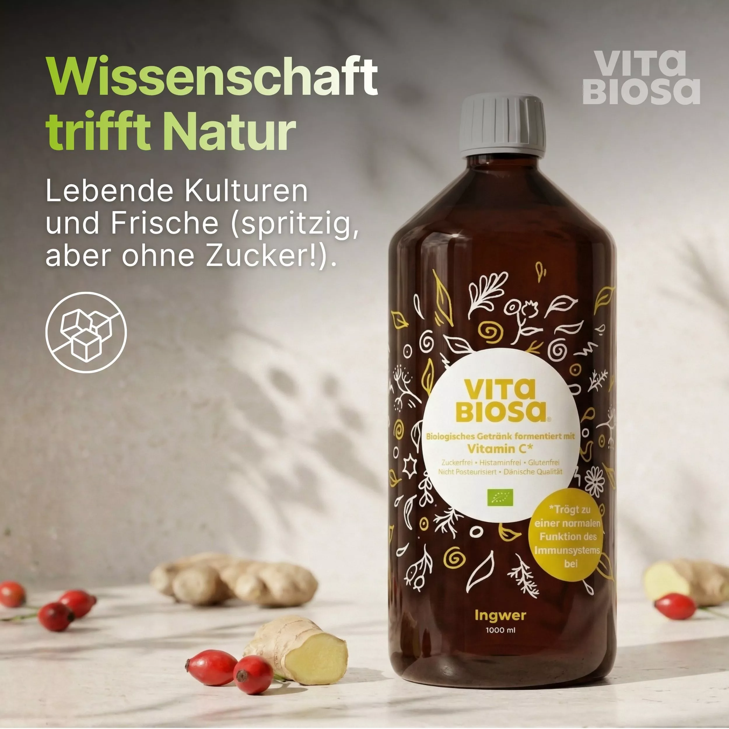 Vita_Biosa_Ingwer_mit_Vitamin-C_1L_Bag-in-Box_Milchsaeurebakterien_kaufen_Wissenschaft Vita_Biosa_Ingwer_mit_Vitamin-C_1L_Bag-in-Box_Milchsaeurebakterien_kaufen_Wissenschaft