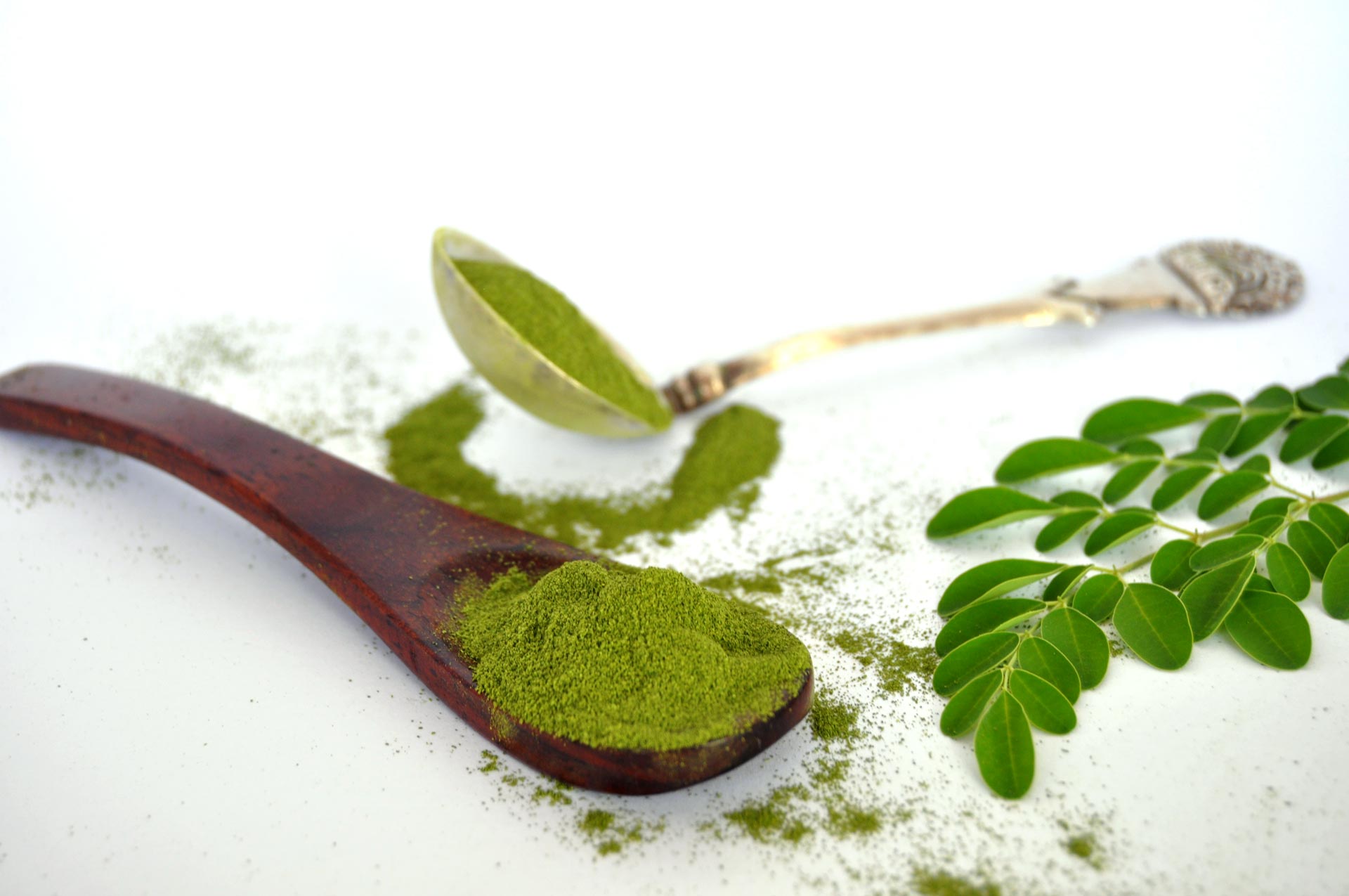Moringa Pulver kaufen Blattpulver 120g Loeffel